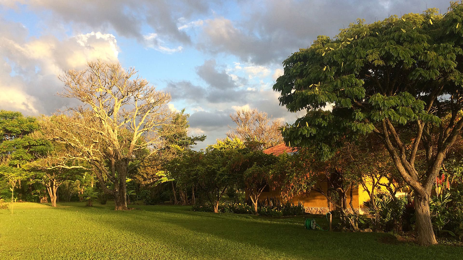 Fazenda Iluminada